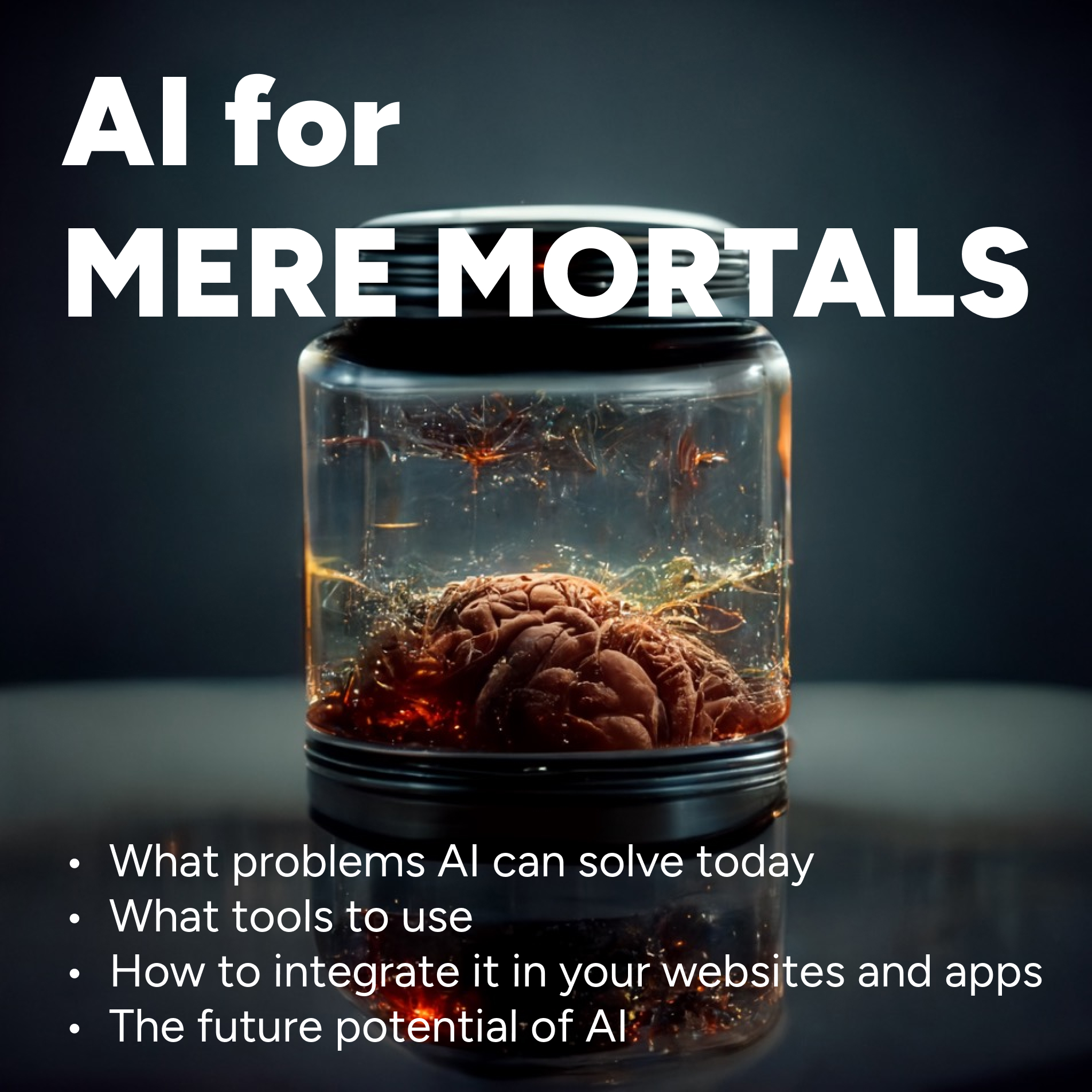 AI for Mere Mortals